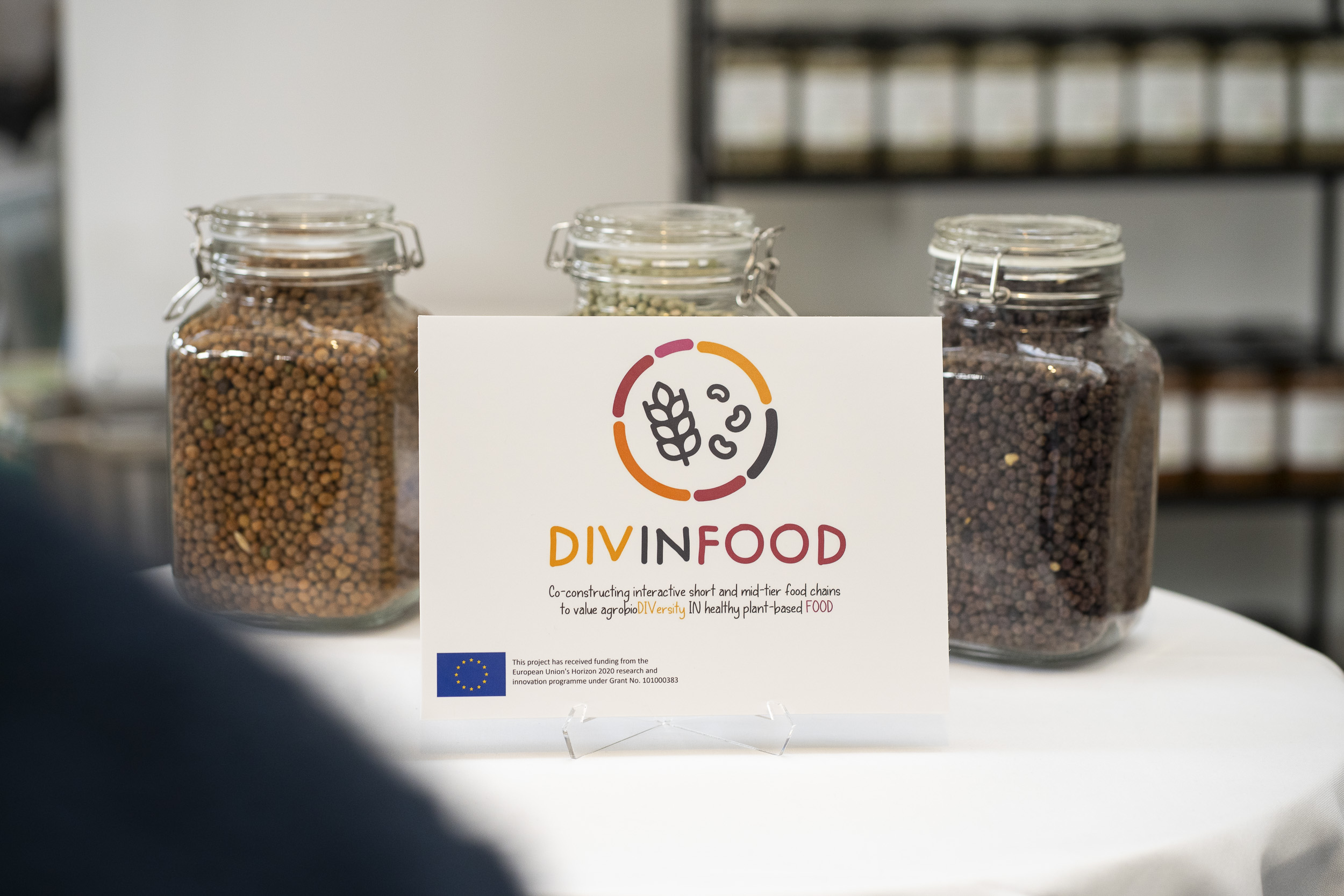 DIVINFOOD