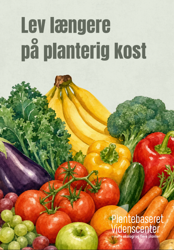 DVF Ernæring